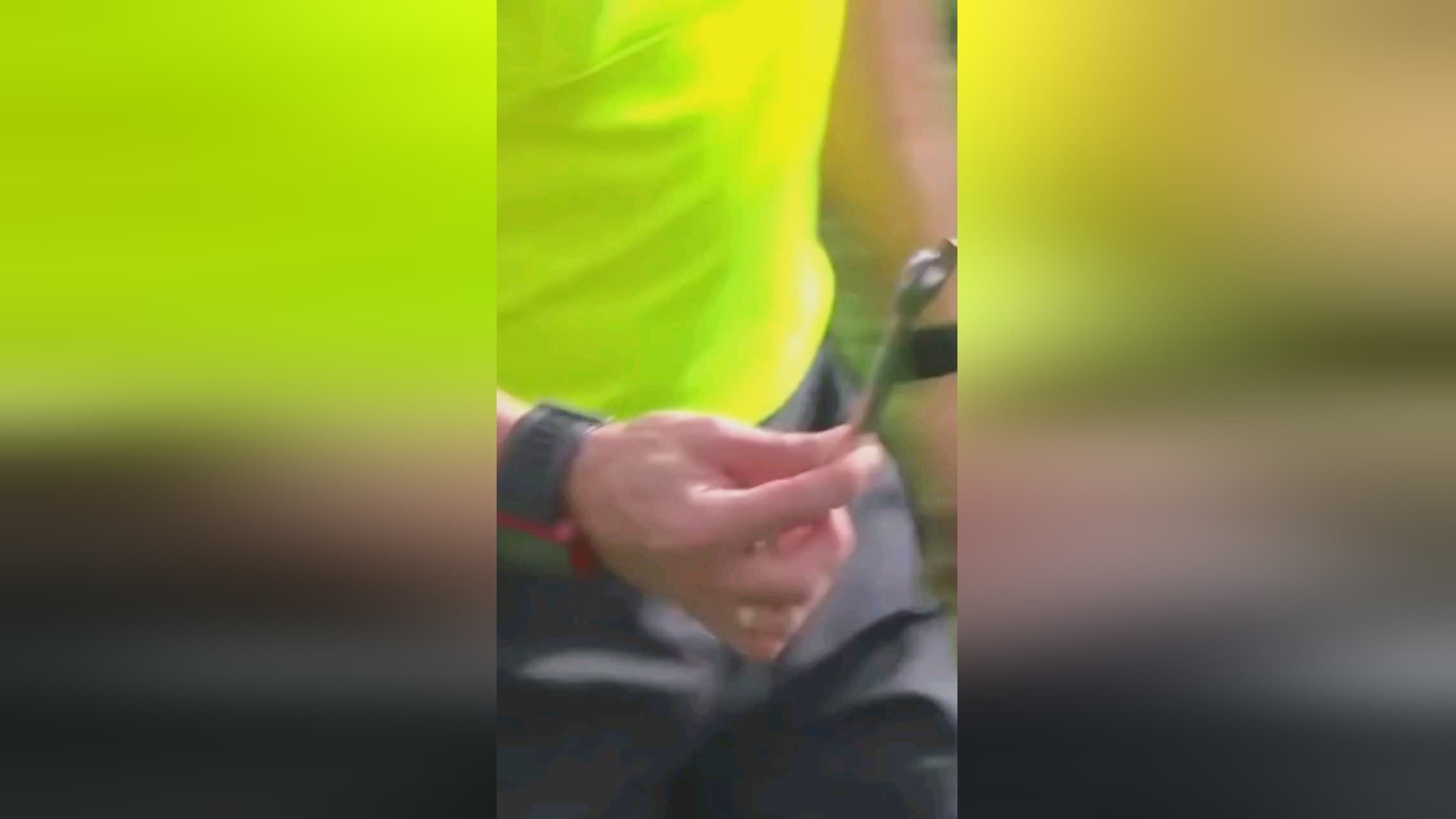 终保